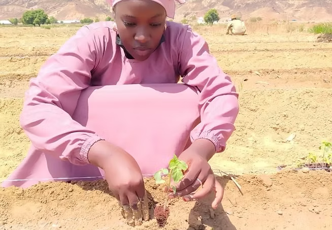 Climate-Smart Agriculture activity